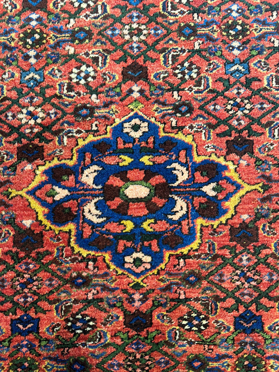 Antique Persian Bakhtiari