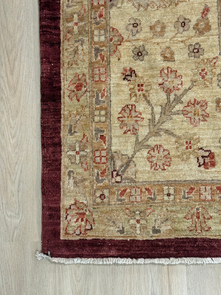Ushak Collection
