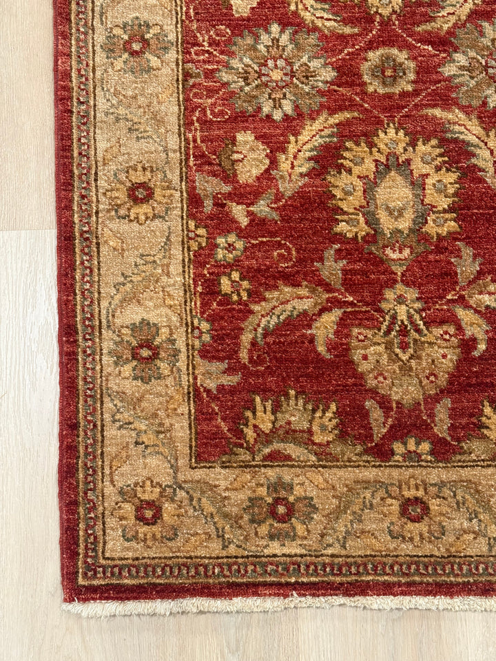 Pakistani Ushak