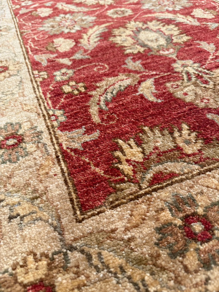 Pakistani Ushak