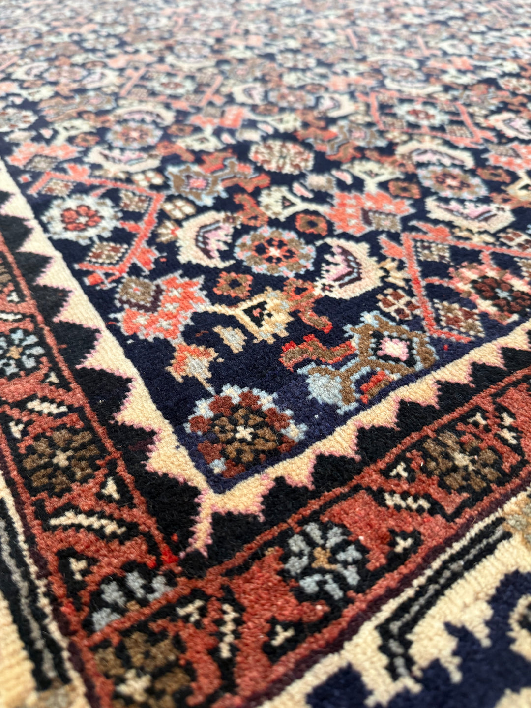 Persian Bidjar