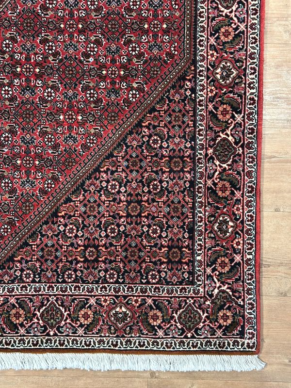 Persian Bijar
