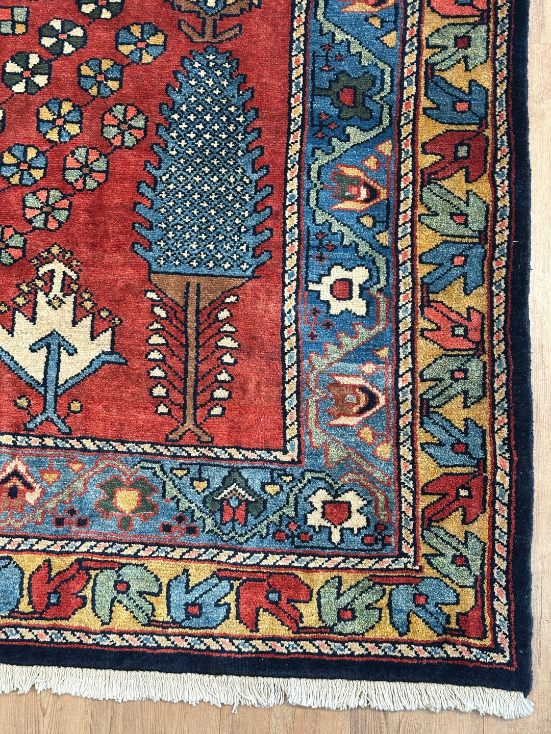 Persian Lour