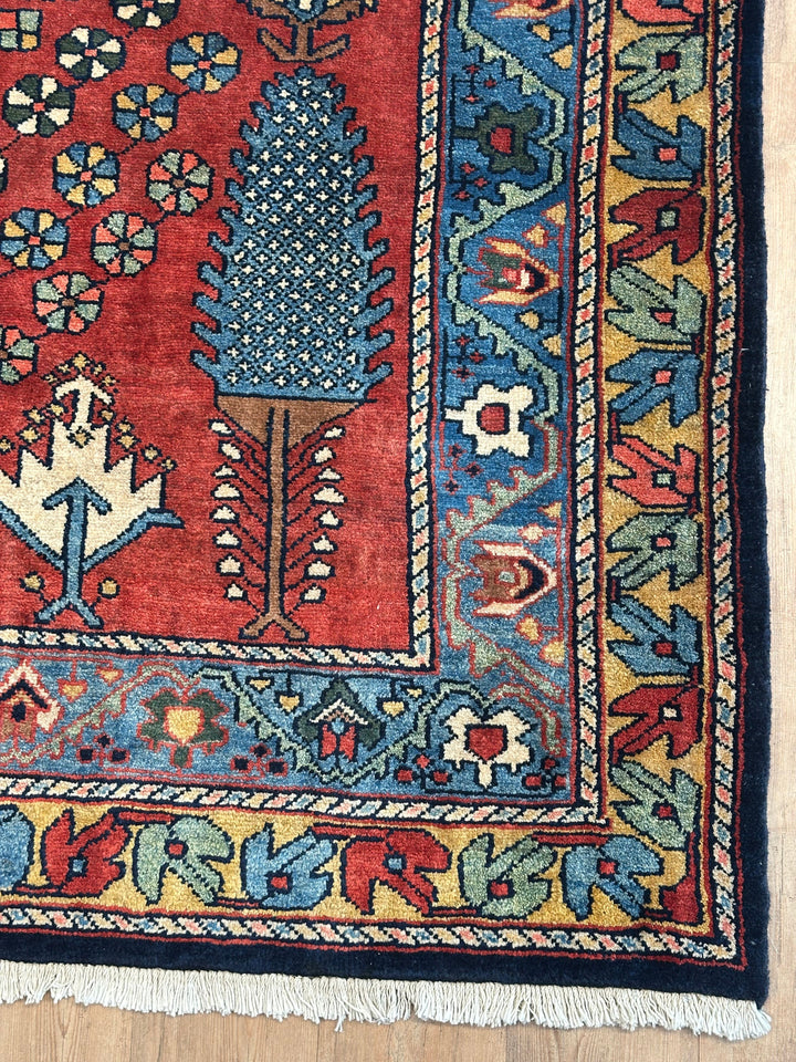 Persian Lour