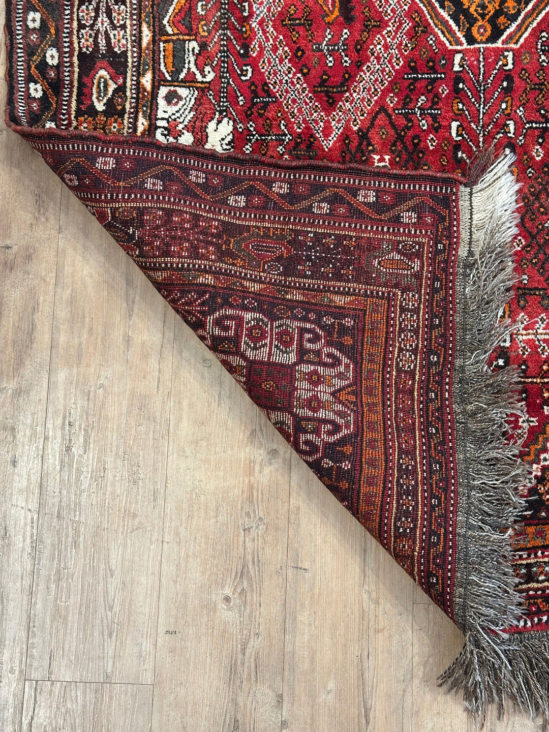 Persian Qashqai