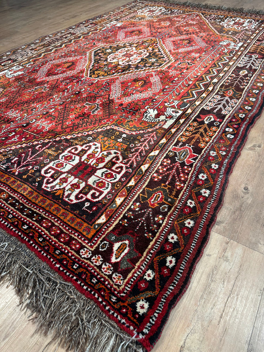 Persian Qashqai