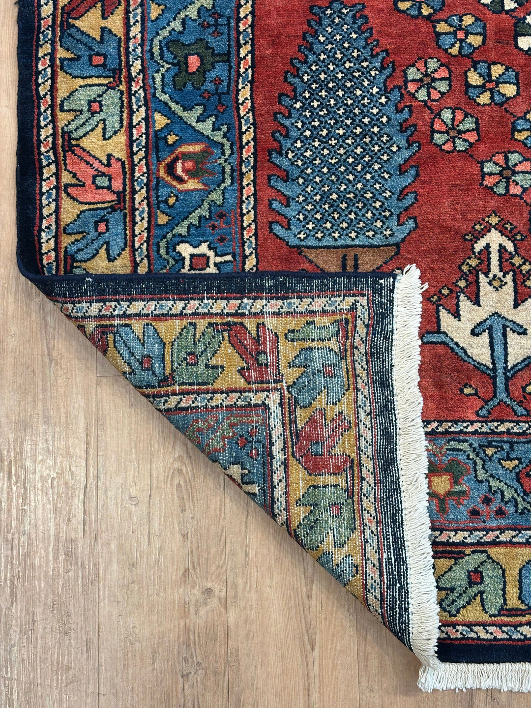 Persian Lour