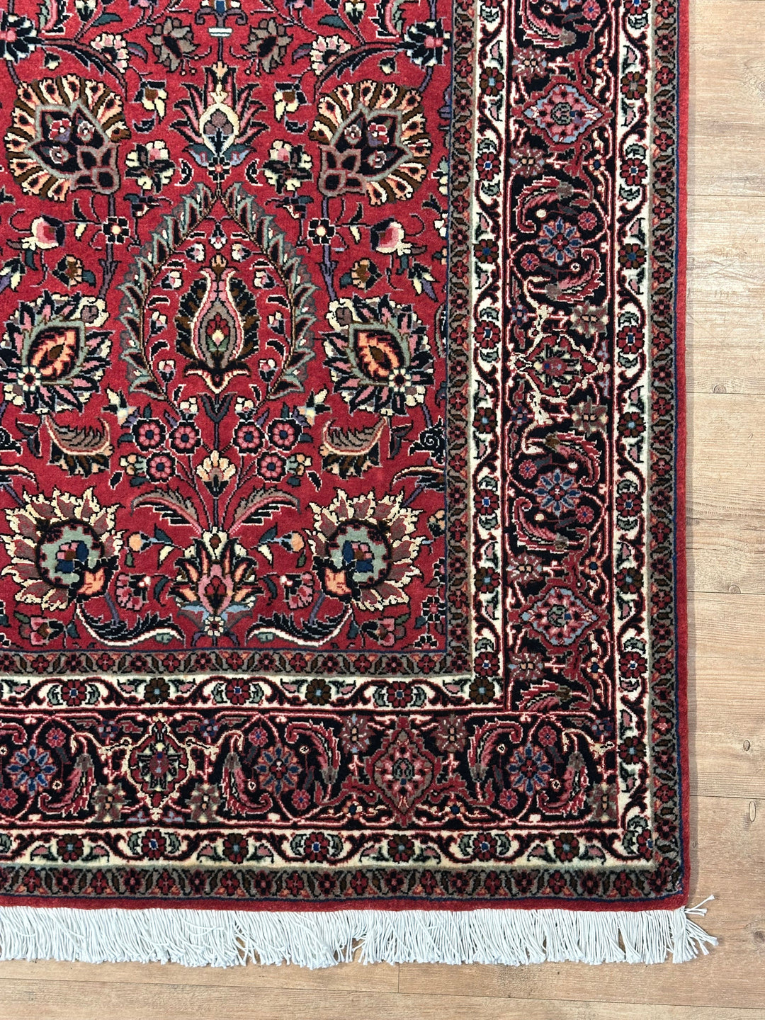 Persian Bijar
